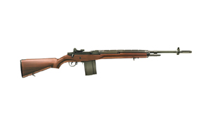 TM_AEG_M14WS.jpg